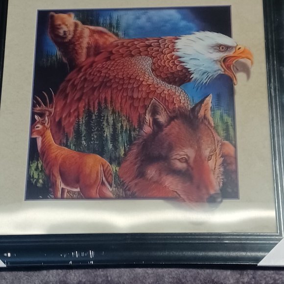 New 3D Wildlife  Framed Print - Picture 2 of 7
